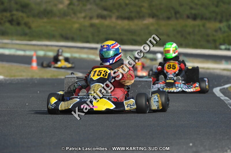 DSC (3982).JPG